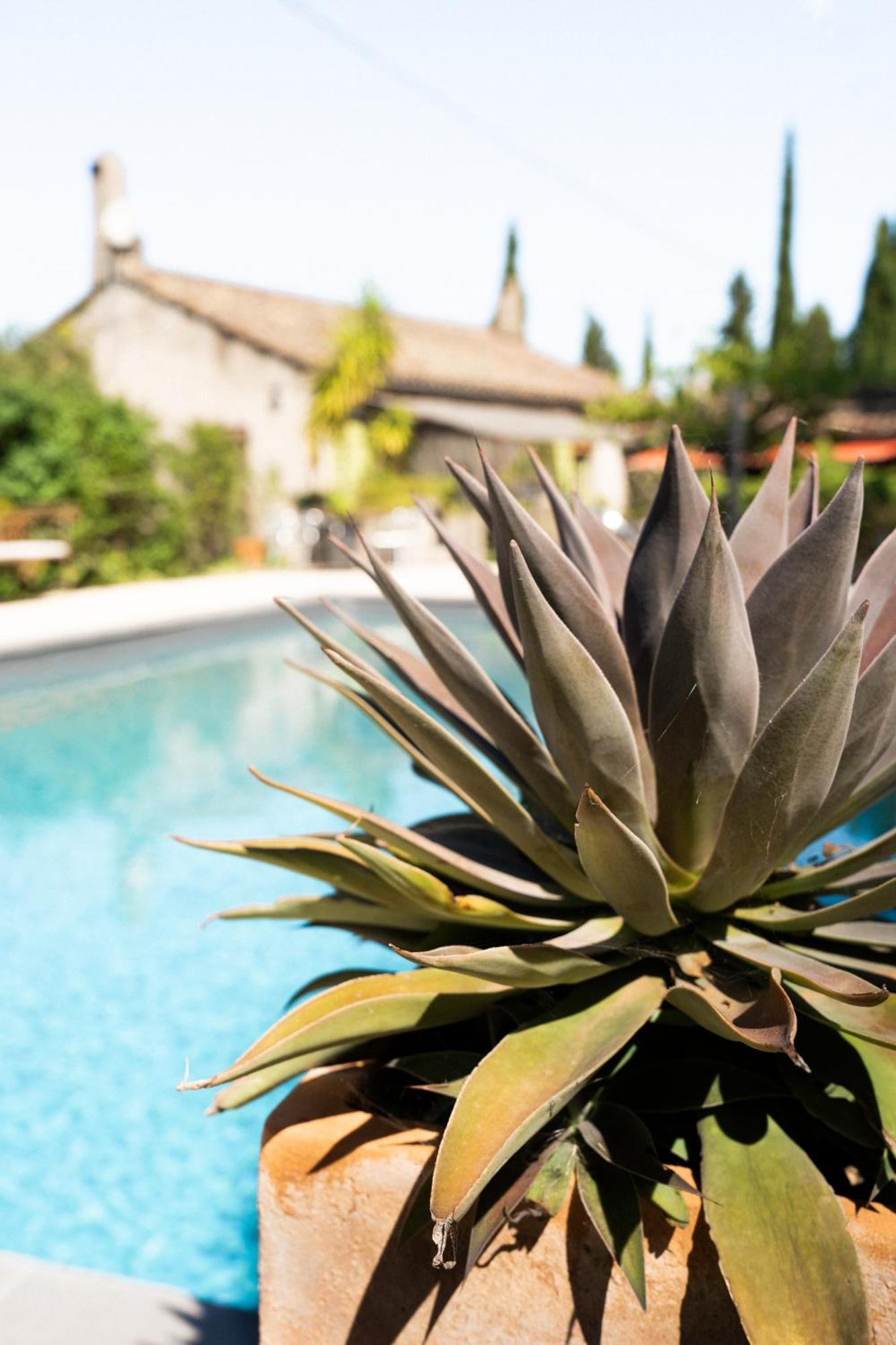 La Maison Sur La Colline Carcassonne Dış mekan fotoğraf