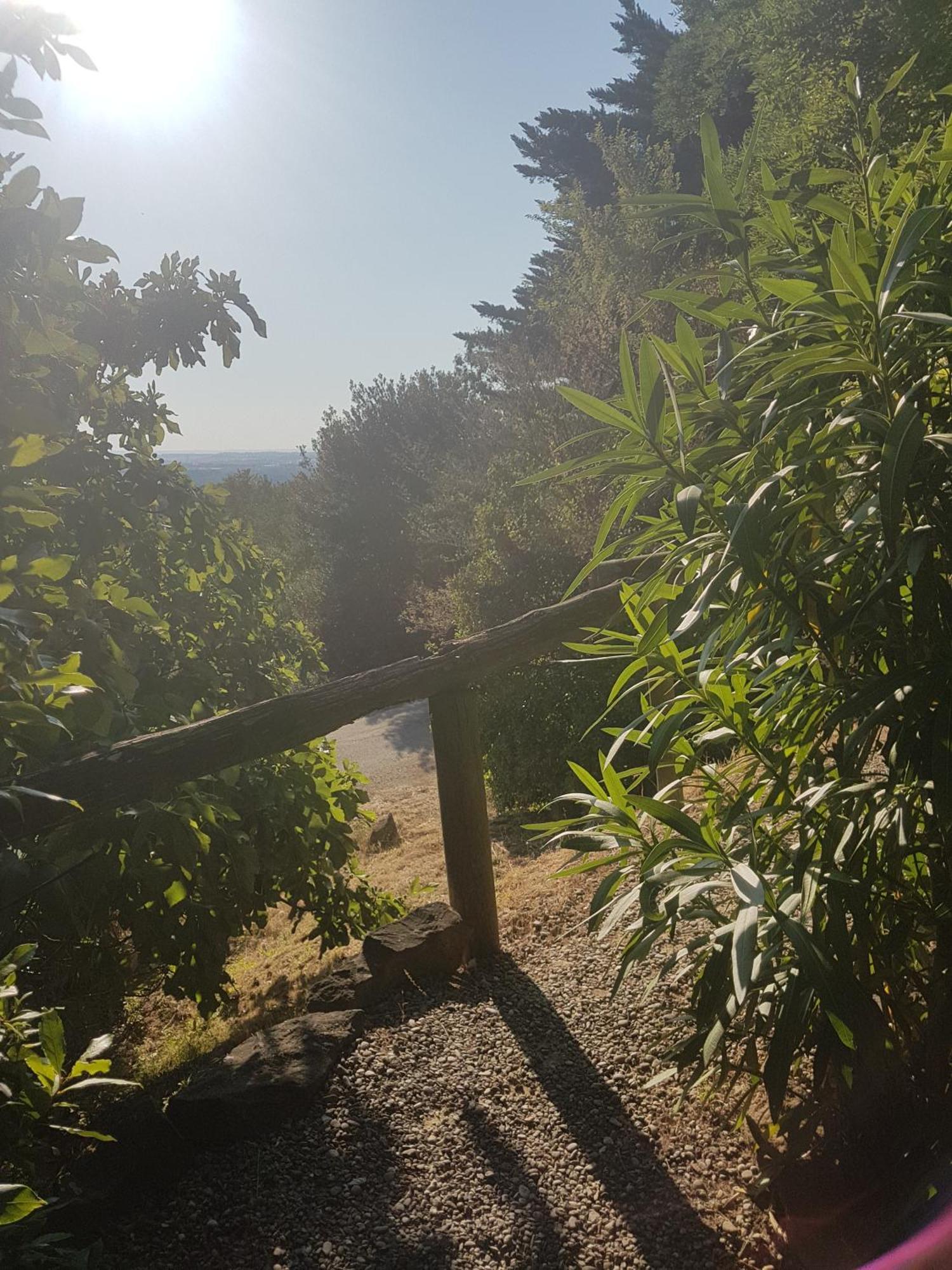 La Maison Sur La Colline Carcassonne Dış mekan fotoğraf