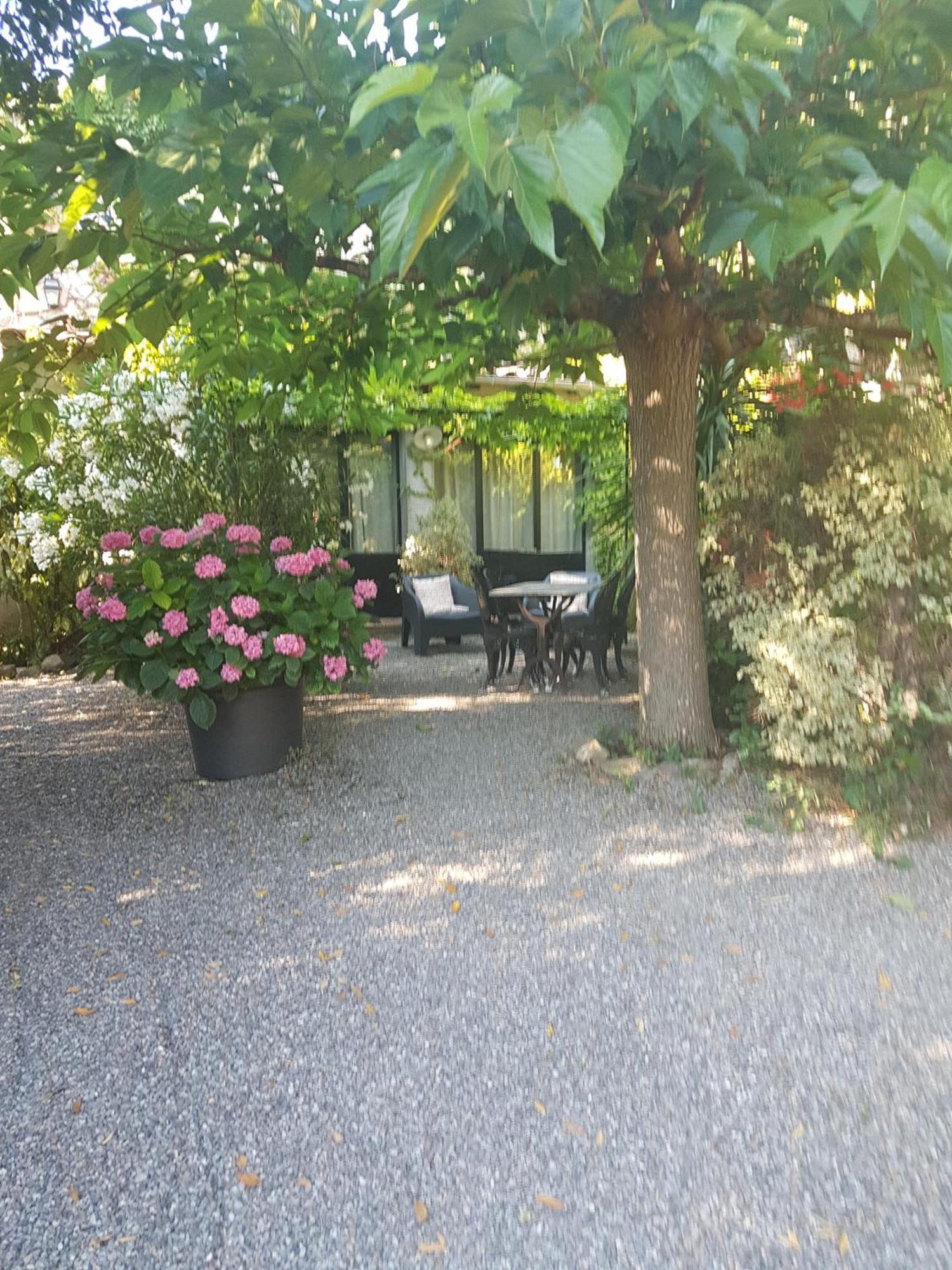 La Maison Sur La Colline Carcassonne Dış mekan fotoğraf