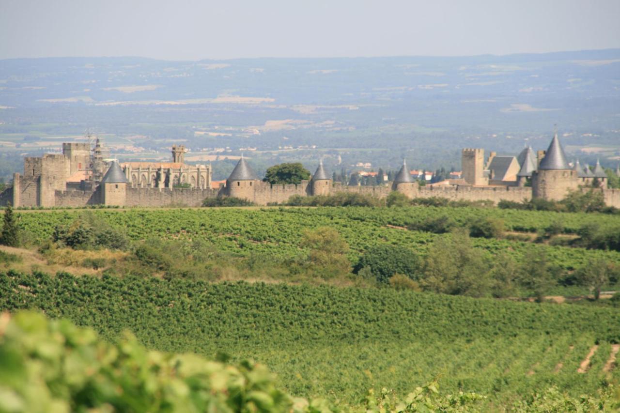 La Maison Sur La Colline Carcassonne Dış mekan fotoğraf